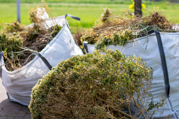 Best Affordable Junk Removal Services  in Exmore, VA